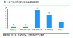 深度报告：中国小贷行业发展现状（附新三板小贷、网络小贷业绩对比）